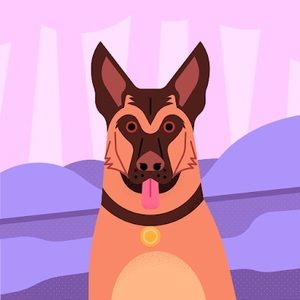 Meet your Posher, Kyle